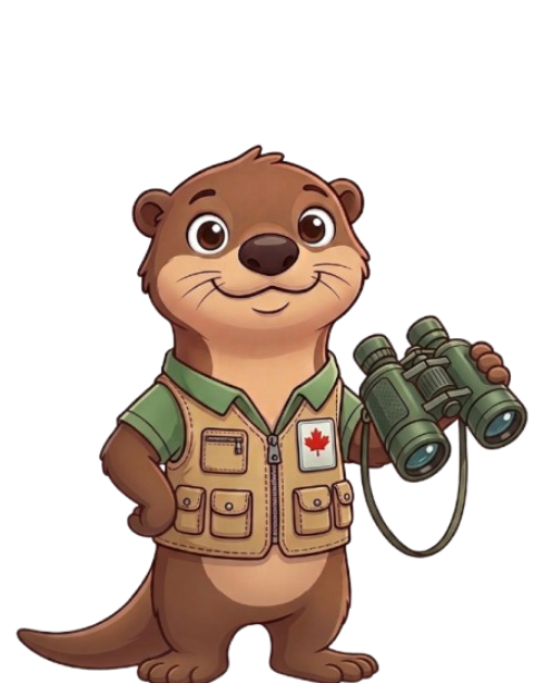 Spotter the otter, ChildSpot mascot for Ontario licensed childcare app